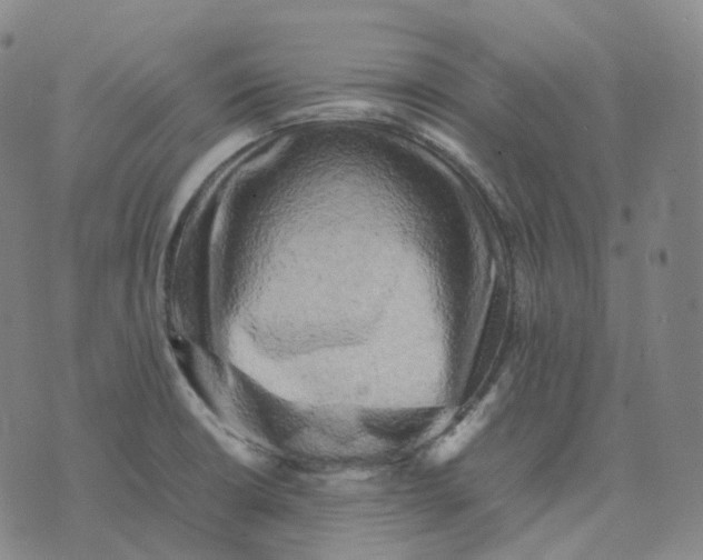 X0000074231426200609151635