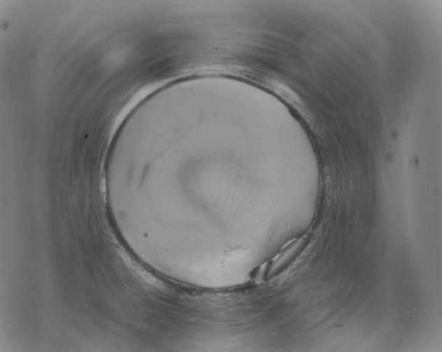 X0000074231428200609151635