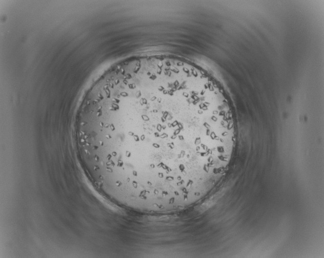 X0000074231429200609151635