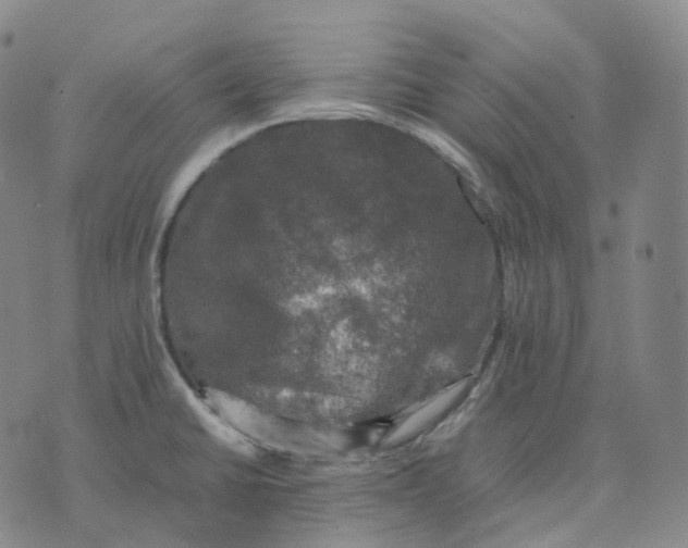 X0000074231430200609151635