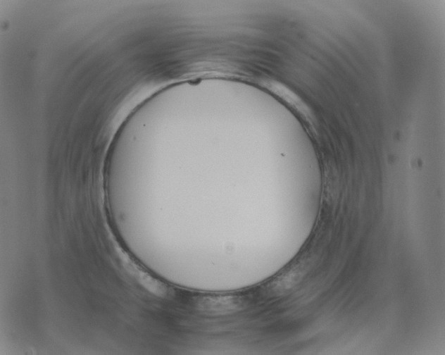 X0000074231431200609151635