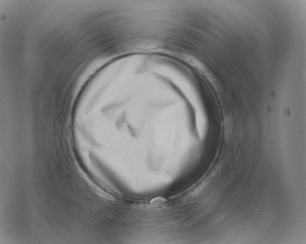 X0000074231432200609151635