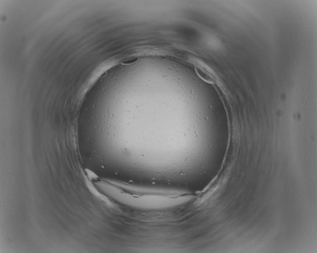 X0000074231433200609151635