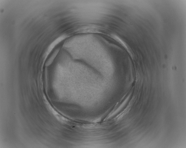 X0000074231434200609151635