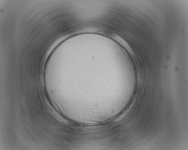 X0000074231436200609151635