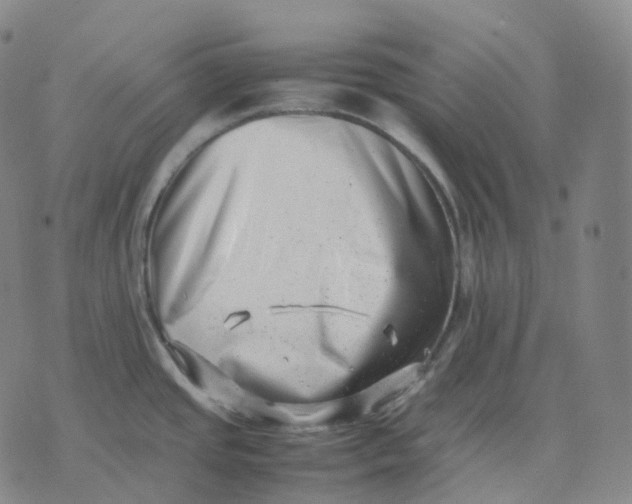 X0000074231437200609151635