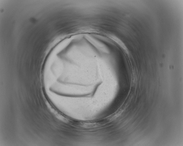 X0000074231439200609151635