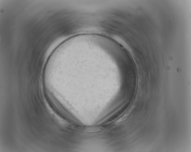 X0000074231440200609151635