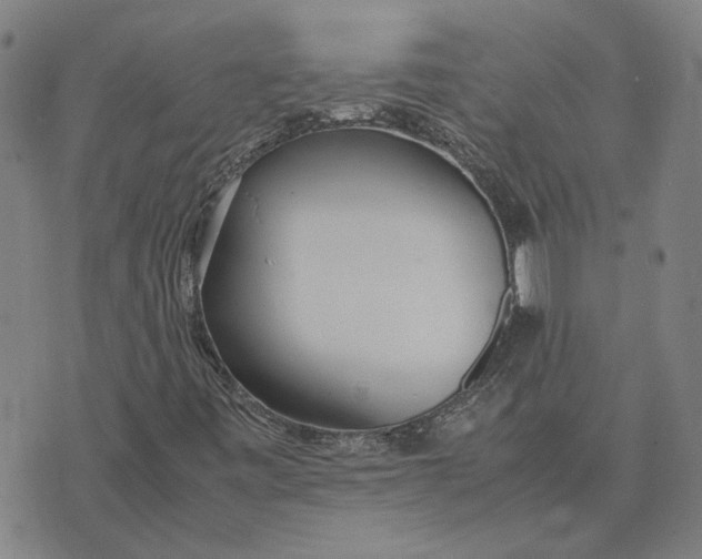 X0000074231443200609151634