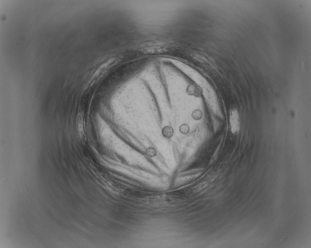 X0000074231444200609151634