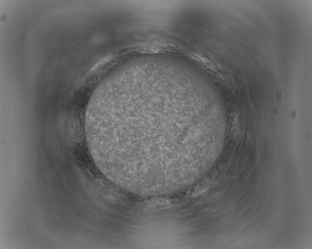 X0000074231446200609151634