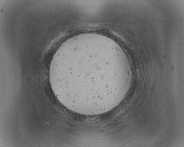 X0000074231447200609151634