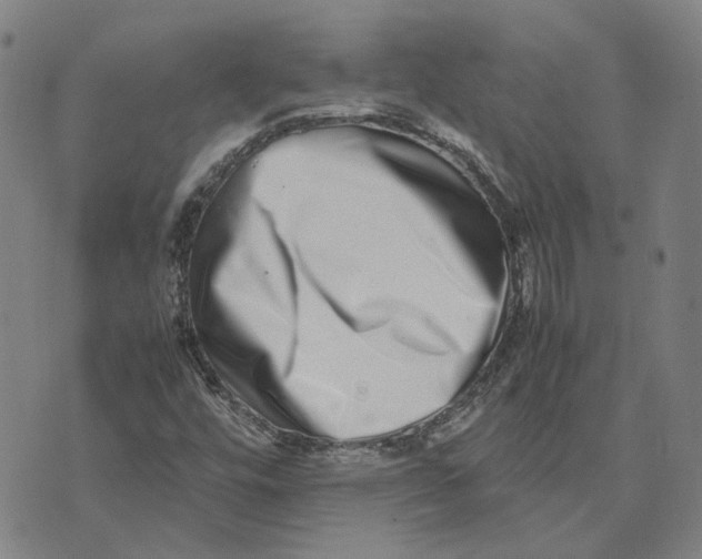 X0000074231448200609151634