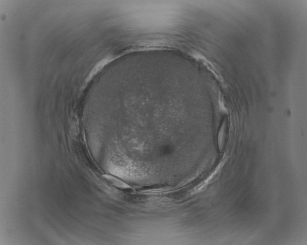 X0000074231449200609151634