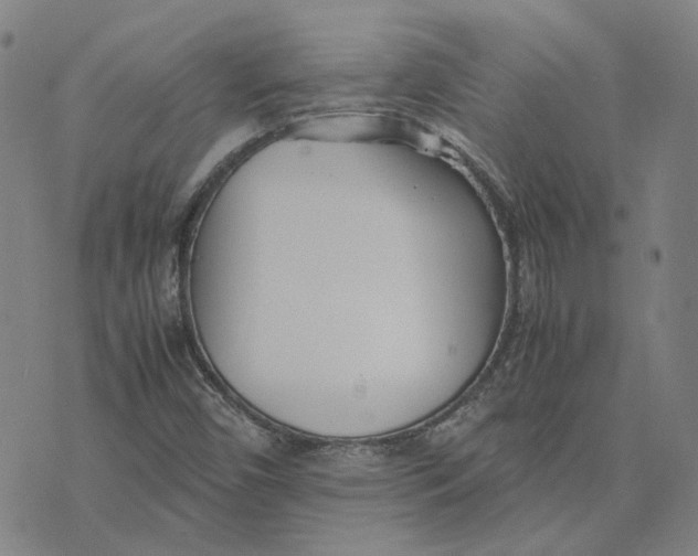 X0000074231450200609151634