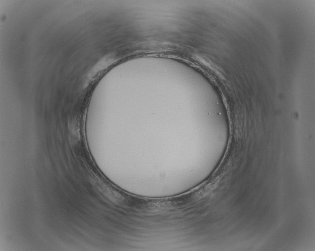 X0000074231451200609151634