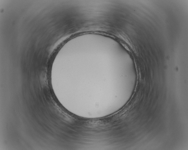 X0000074231452200609151634