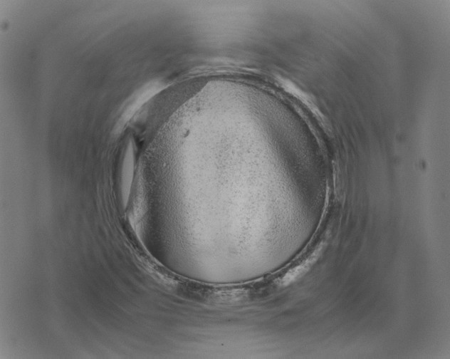 X0000074231453200609151634