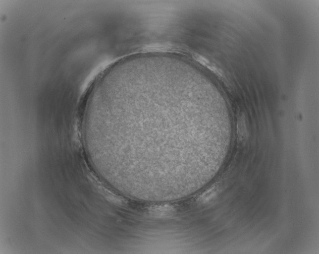 X0000074231454200609151634