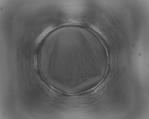 X0000074231455200609151634