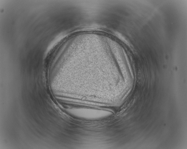 X0000074231456200609151634