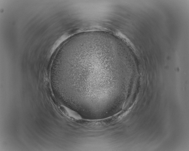 X0000074231457200609151634