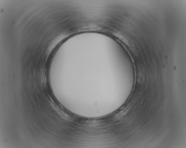 X0000074231458200609151634