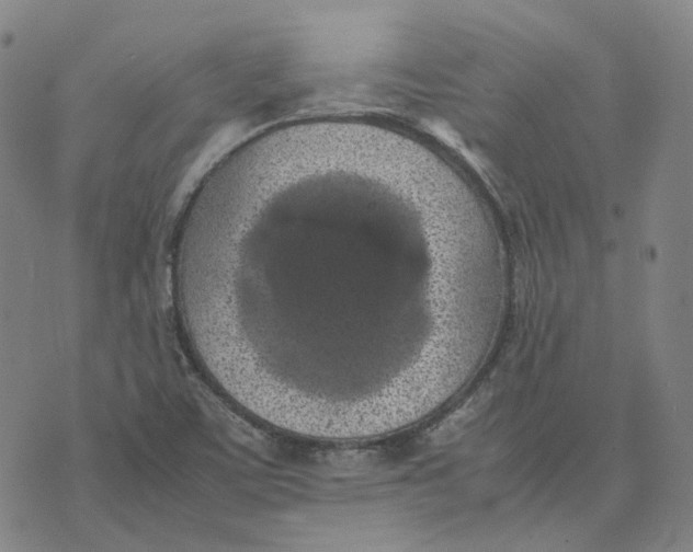 X0000074231459200609151634