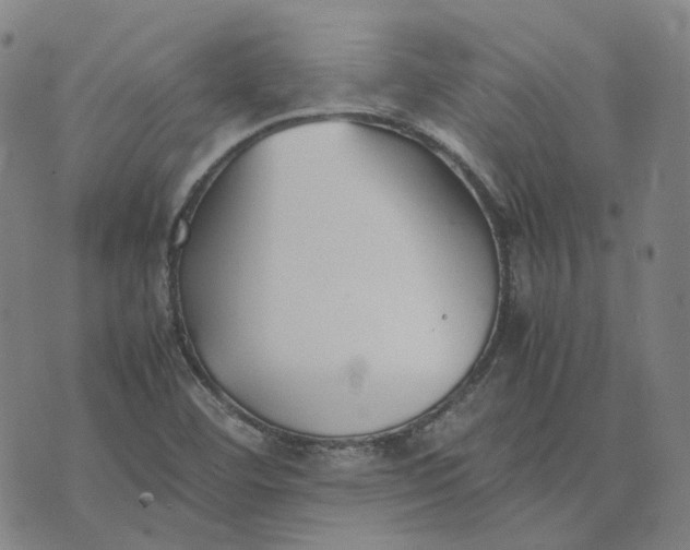 X0000074231460200609151634