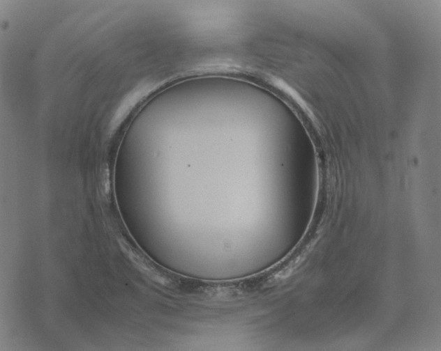 X0000074231461200609151634