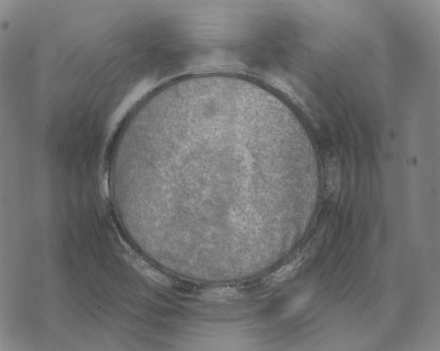 X0000074231462200609151634