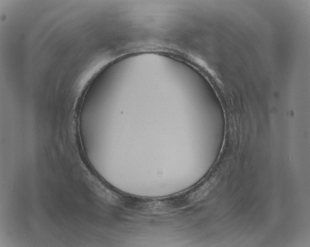 X0000074231463200609151634