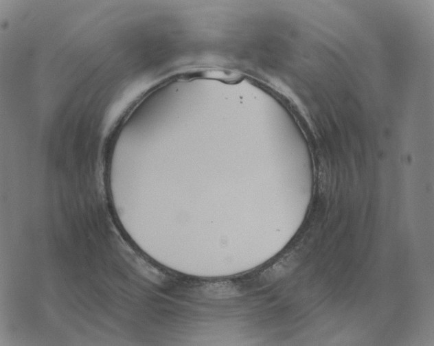 X0000074231464200609151634