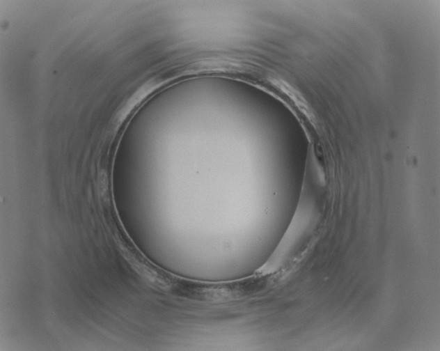 X0000074231465200609151634