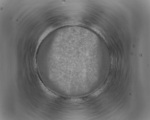 X0000074231466200609151634