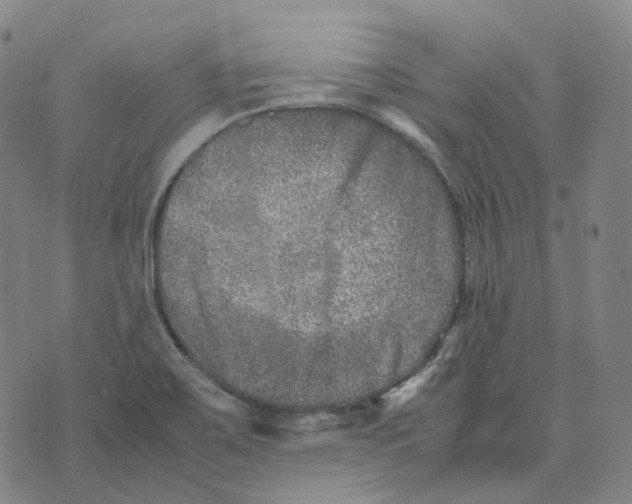 X0000074231467200609151634