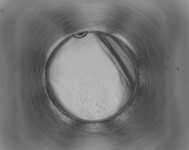 X0000074231468200609151634