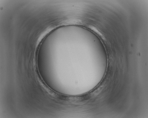 X0000074231469200609151634