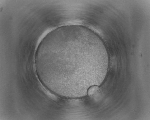 X0000074231470200609151634