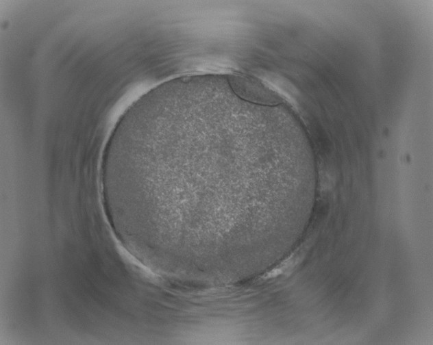 X0000074231471200609151634