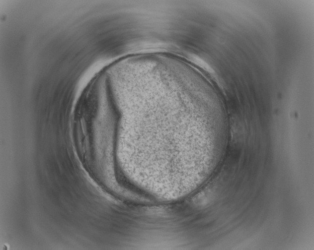 X0000074231472200609151634