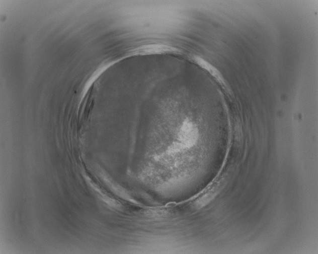 X0000074231473200609151634