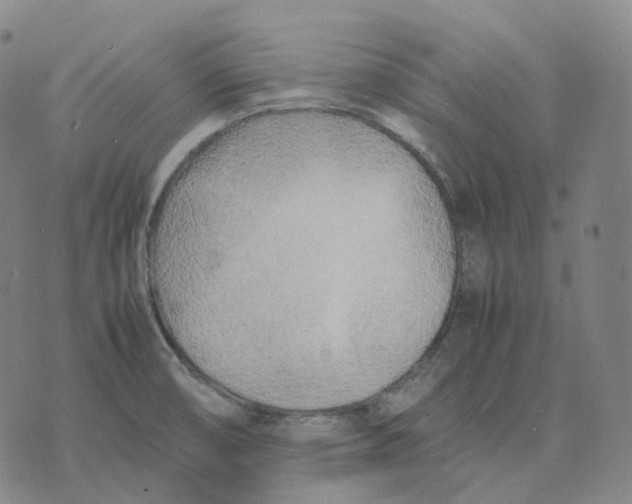 X0000074231474200609151634