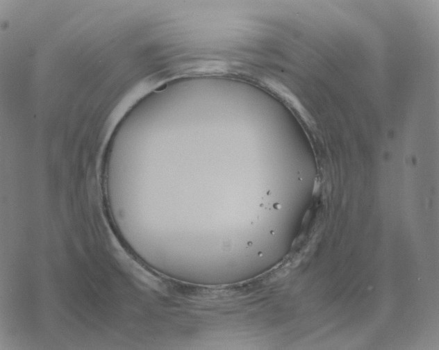 X0000074231475200609151634