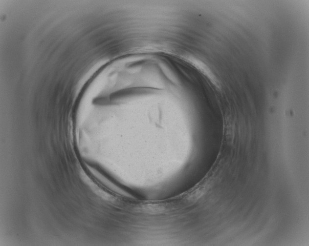 X0000074231476200609151634