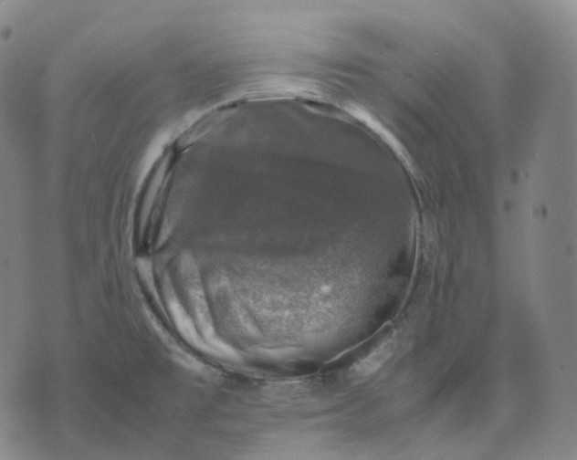 X0000074231477200609151634