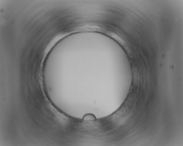 X0000074231478200609151634