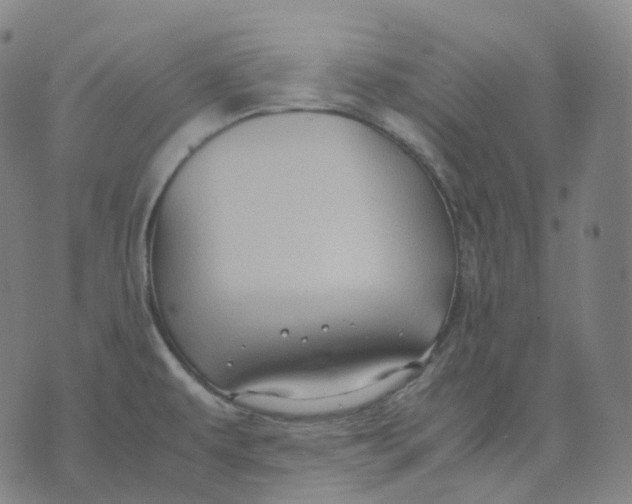 X0000074231479200609151634