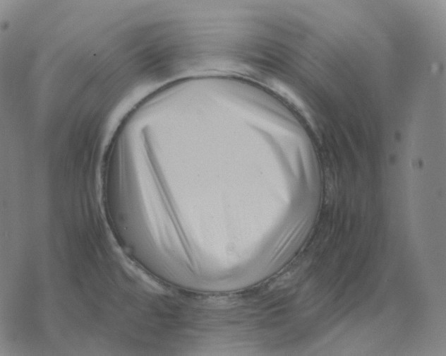 X0000074231480200609151634