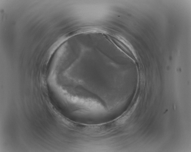 X0000074231481200609151634